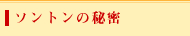 �\���g���̔閧