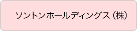 ソントンホールディングス株式会社